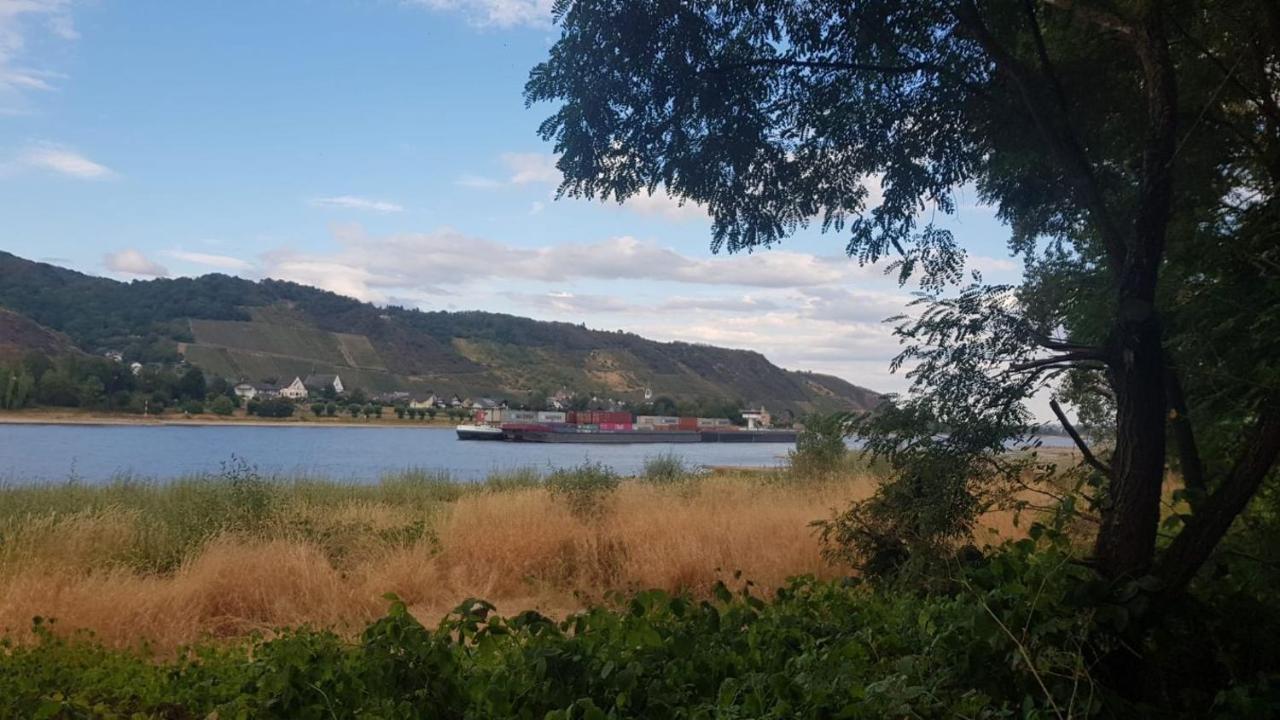 Ferienwohnung Am Geysirzentrum Άντερναχ Εξωτερικό φωτογραφία
